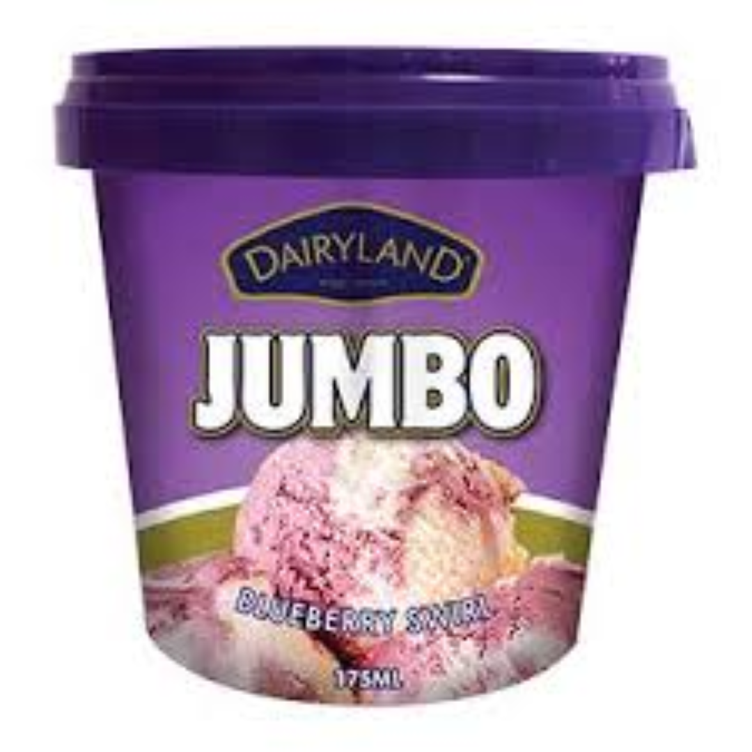DAIRYLAND JUMBO BLUEBERRY SWIRL 175ML CUP